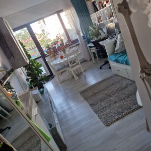 2 camere Bragadiru, curte 50 mp