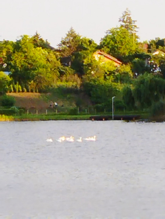 SUPER OCAZIE SE VINDE VILA DE LUX SI CASA DE OASPESTI IN BALOTESTI LA LAC